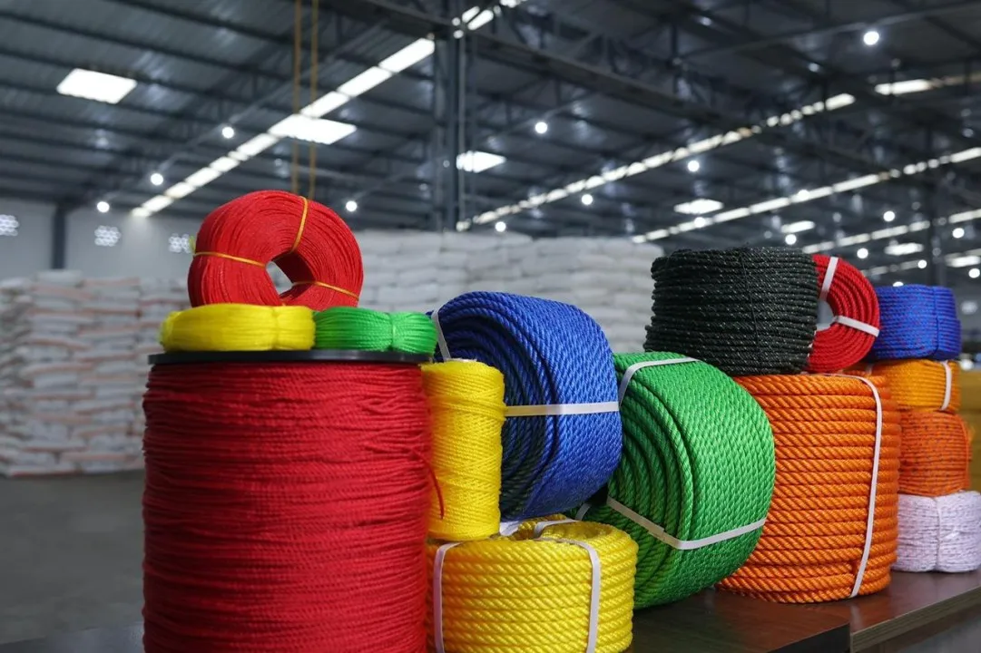 High-quality packaging products by Evara